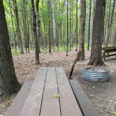 Review photo of Muskegon County Pioneer County Park by Maria Mercedes M., June 19, 2026