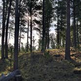 Review photo of Black Hills National Forest Dutchman Campground by Athan D., June 19, 2026