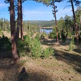 Review photo of Black Hills National Forest Dutchman Campground by Athan D., June 19, 2026