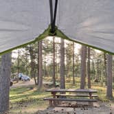 Review photo of Black Hills National Forest Dutchman Campground by Athan D., June 19, 2026