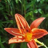 Review photo of Goldenrod Gap by Danielle B., June 21, 2026