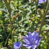 Review photo of Goldenrod Gap by Danielle B., June 21, 2026