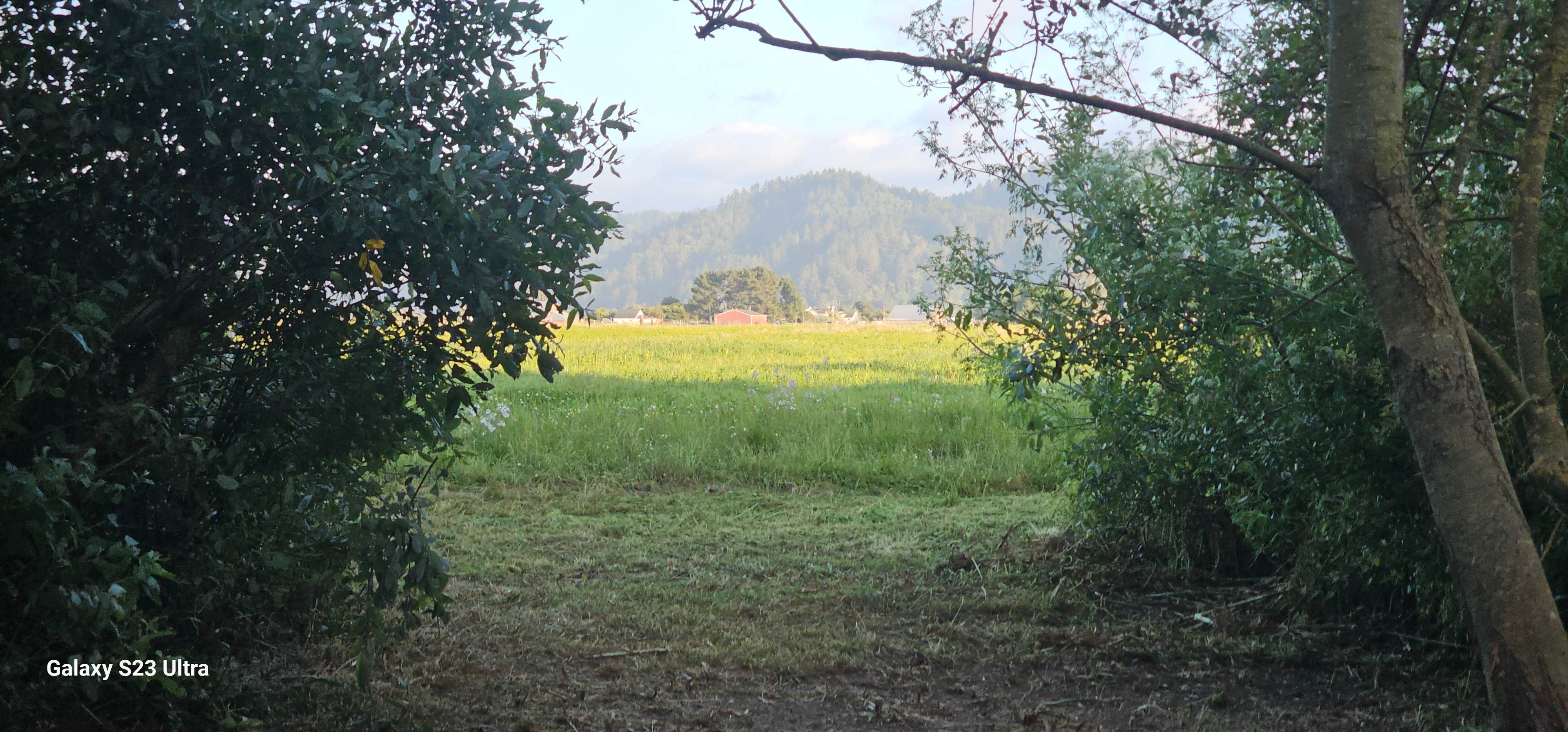 Camping near Redwood Acres RV Park: Hidden Meadow at Far Out farmgirl's, Ferndale, California