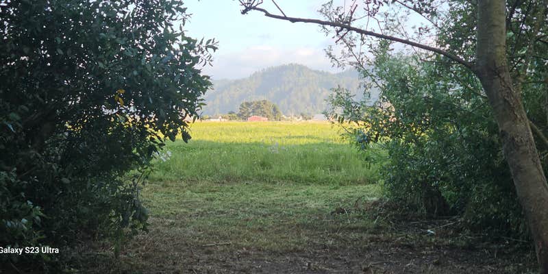 Camper submitted image from Hidden Meadow at Far Out farmgirl's