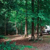 Review photo of Old Mill Camp and General Store by Mary D., June 21, 2026