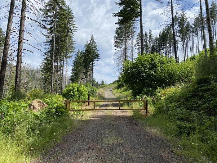 Camper-submitted photo at Aquila Vista Education Area - TEMPORARILY CLOSED near Scotts Mills, OR