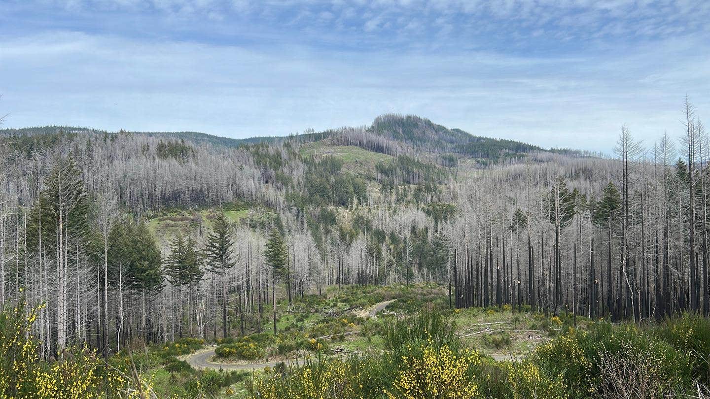 Camper-submitted photo at Aquila Vista Education Area - TEMPORARILY CLOSED near Gates, OR
