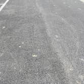 Review photo of Lake Pleasant RV Park by Ryan B., June 22, 2026