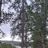 Review photo of Custer Trail by Athan D., June 22, 2026