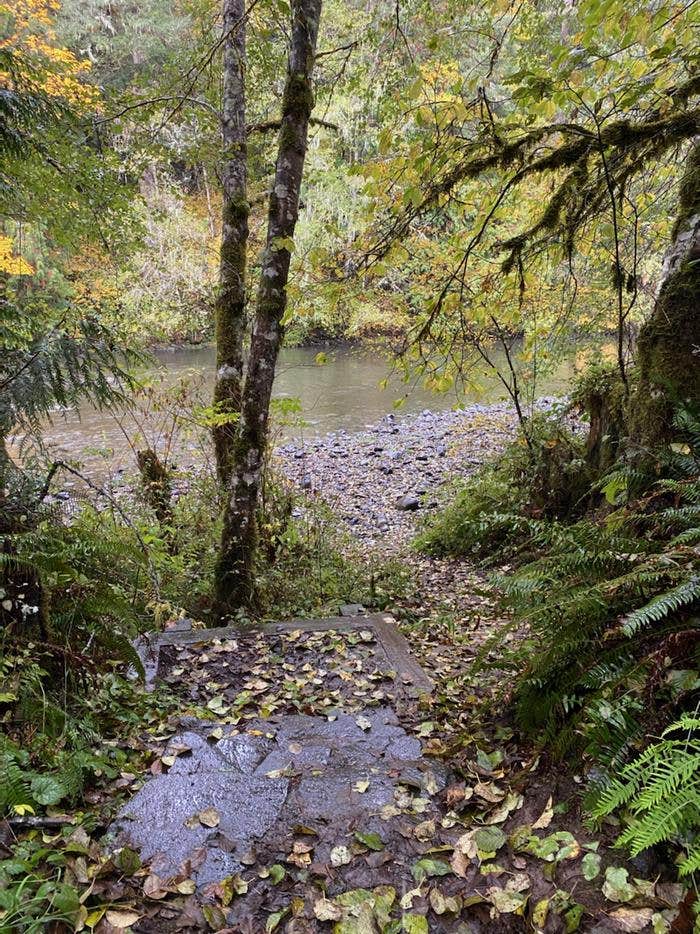 Camper-submitted photo at BLM Molalla River Recreation Area near Lyons, OR