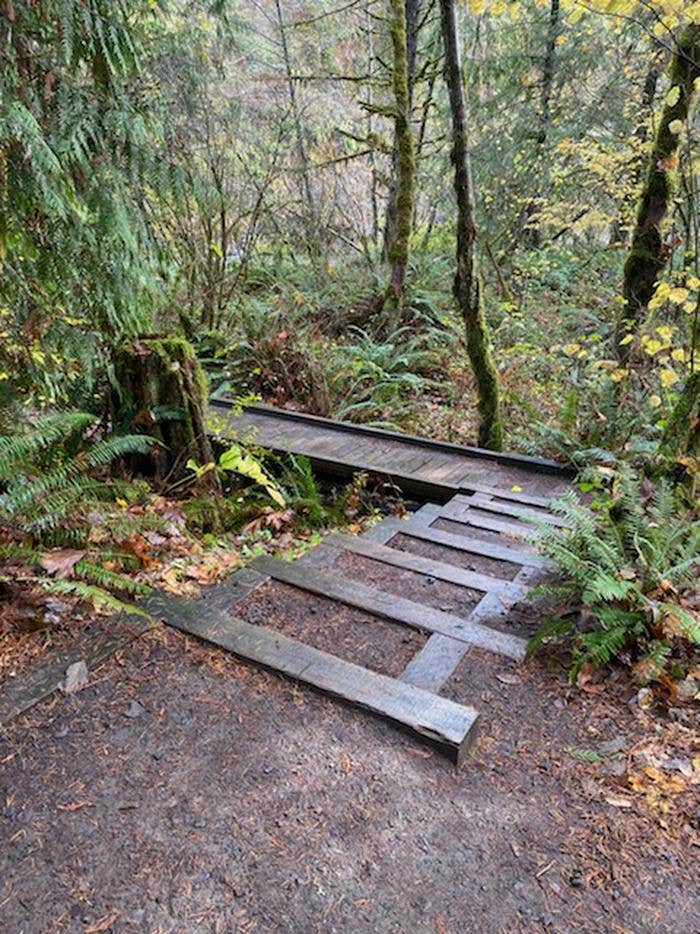 Camper-submitted photo at BLM Molalla River Recreation Area near Molalla, OR