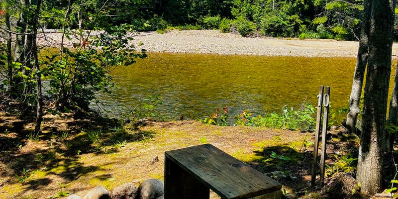 Camper submitted image from Waterfront Overnight Stays at Northern NH Nursery and Farm