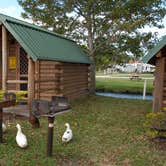 Review photo of Orlando Southwest KOA Holiday by Carla S., September 30, 2016