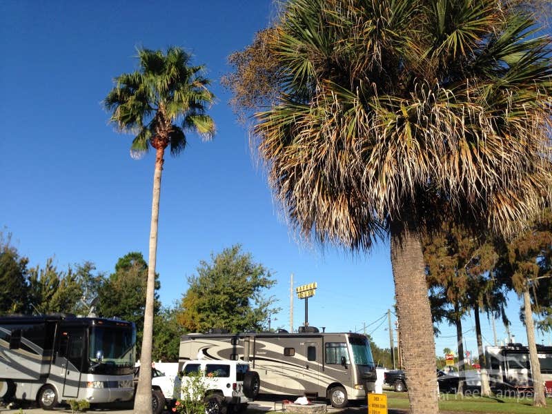 Camper submitted image from Orlando Southwest KOA Holiday - 4