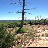 Review photo of Pine Springs Campground by Noah M., September 30, 2016