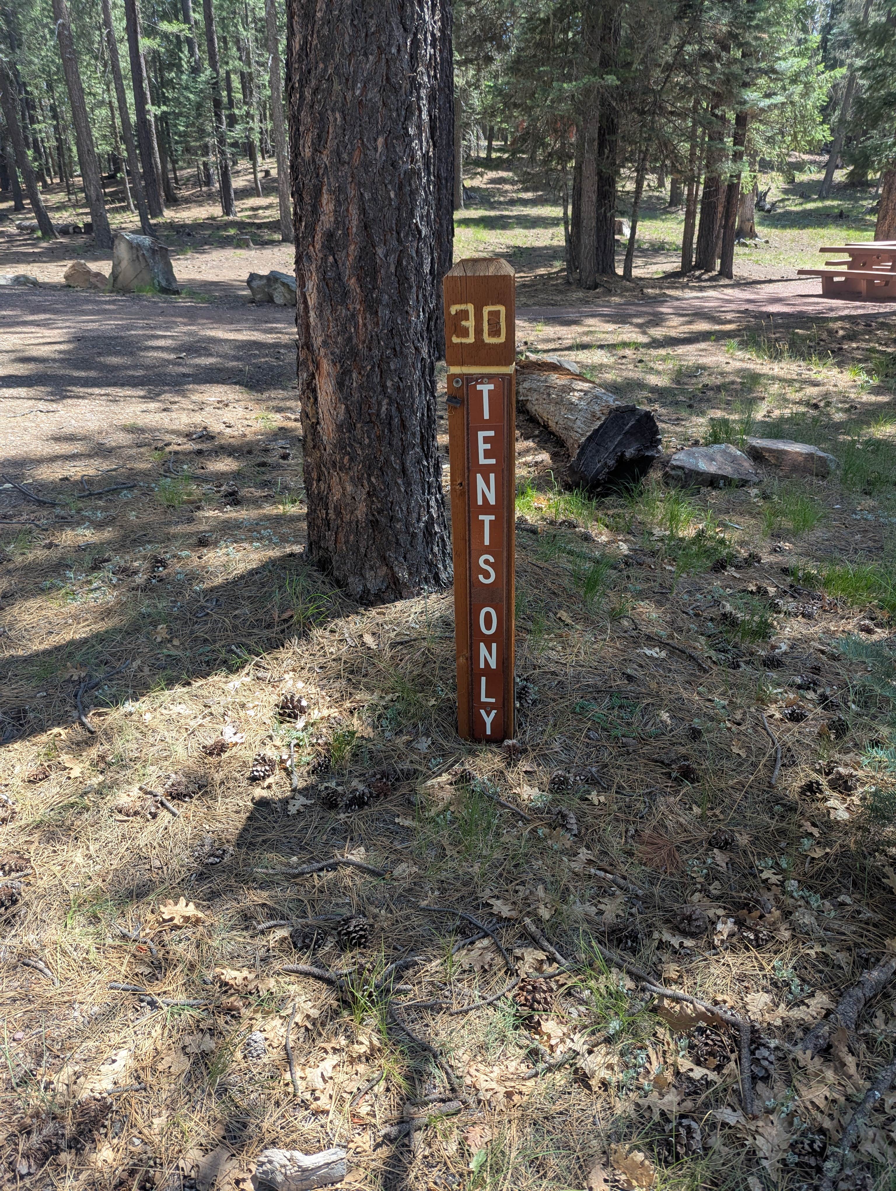 Camper-submitted photo at Knoll Lake Campground near Sun Valley, AZ