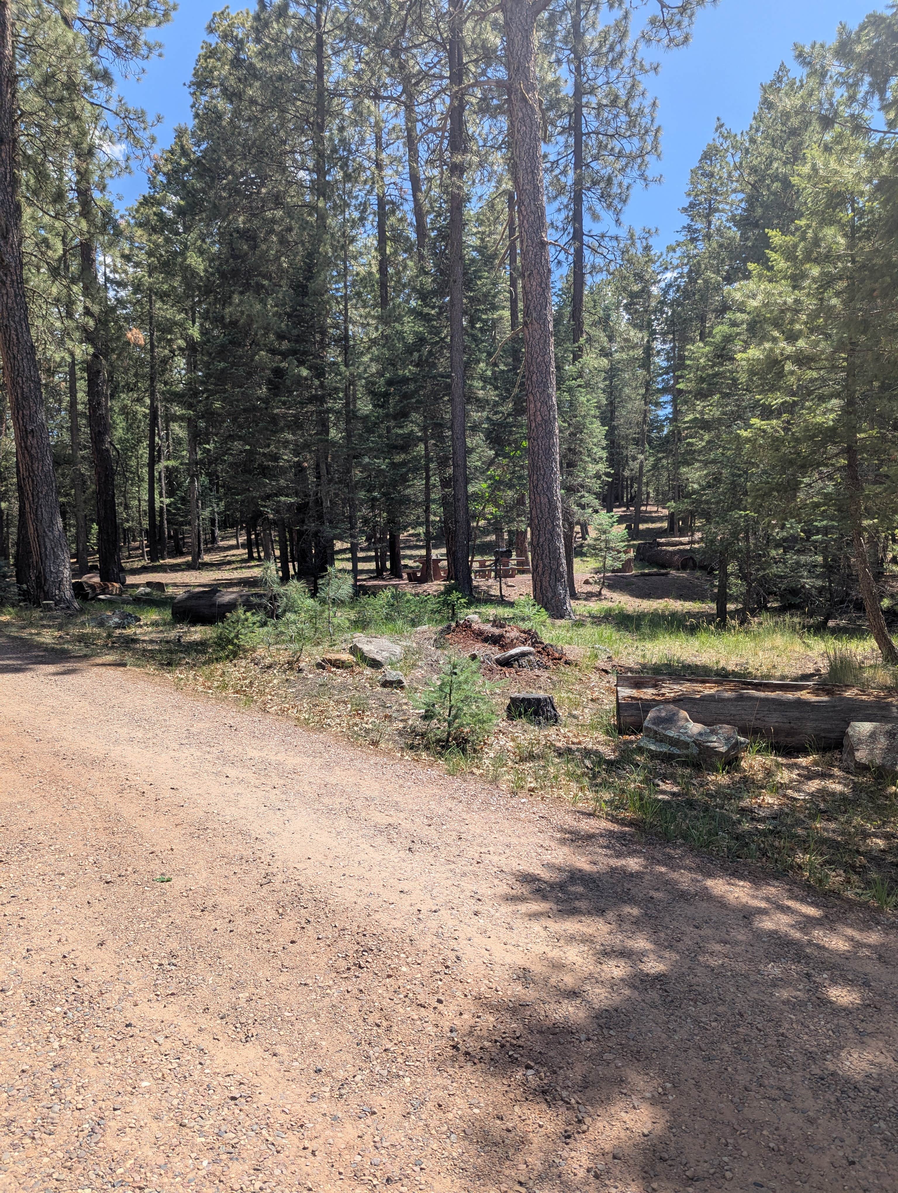 Camper-submitted photo at Knoll Lake Campground near Sun Valley, AZ