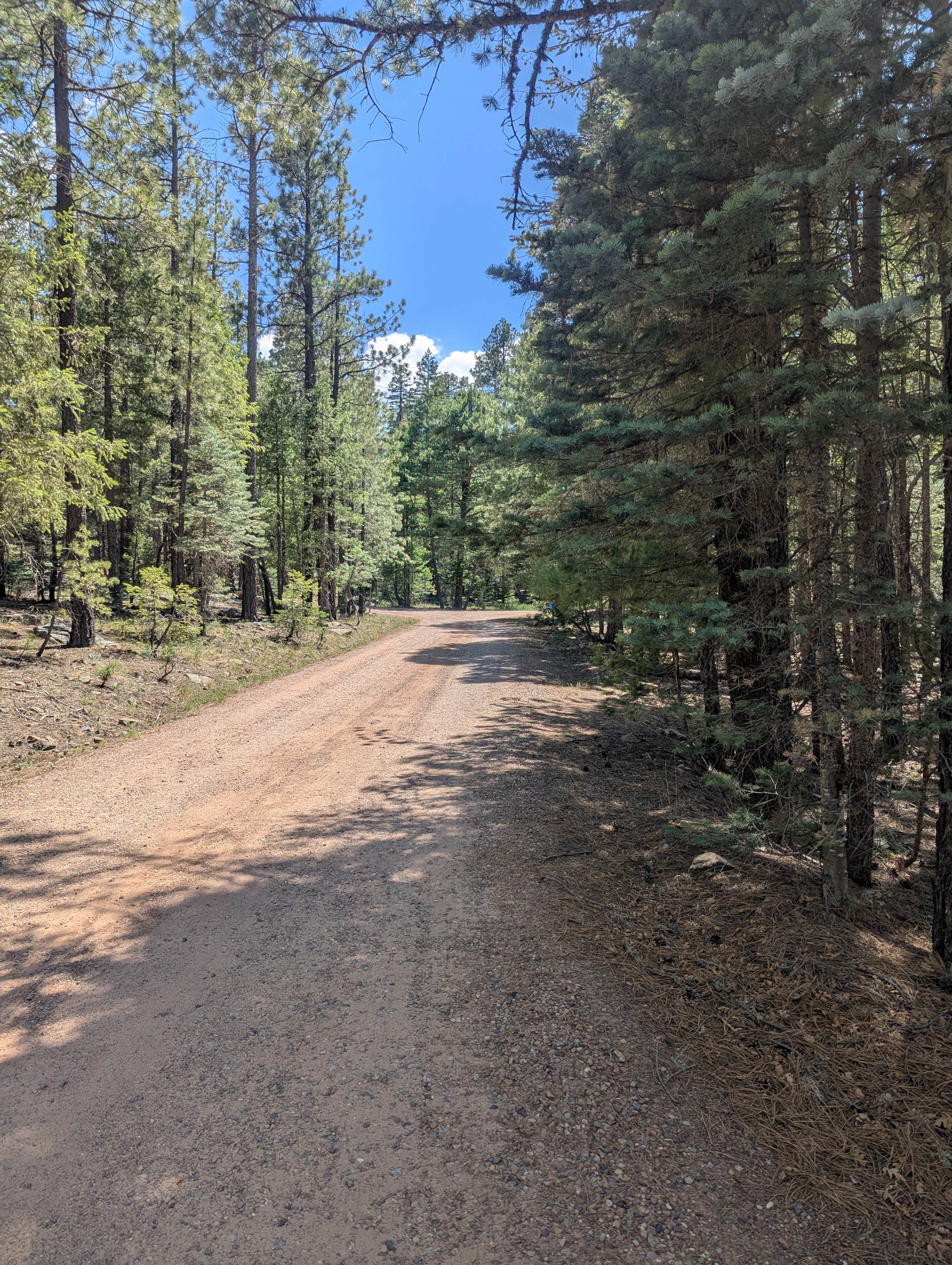 Camper-submitted photo at Knoll Lake Campground near Sun Valley, AZ