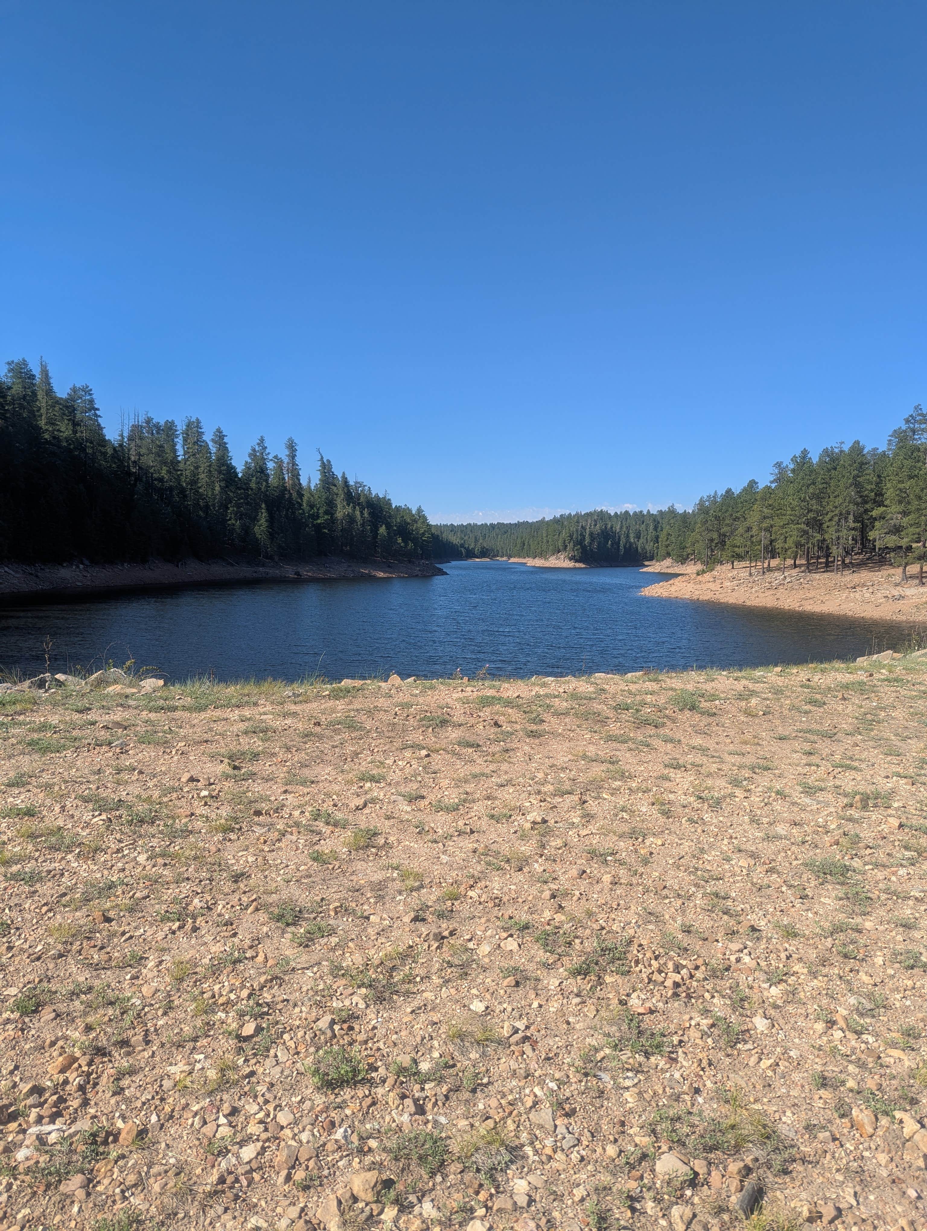 Camper-submitted photo at Knoll Lake Campground near Sun Valley, AZ