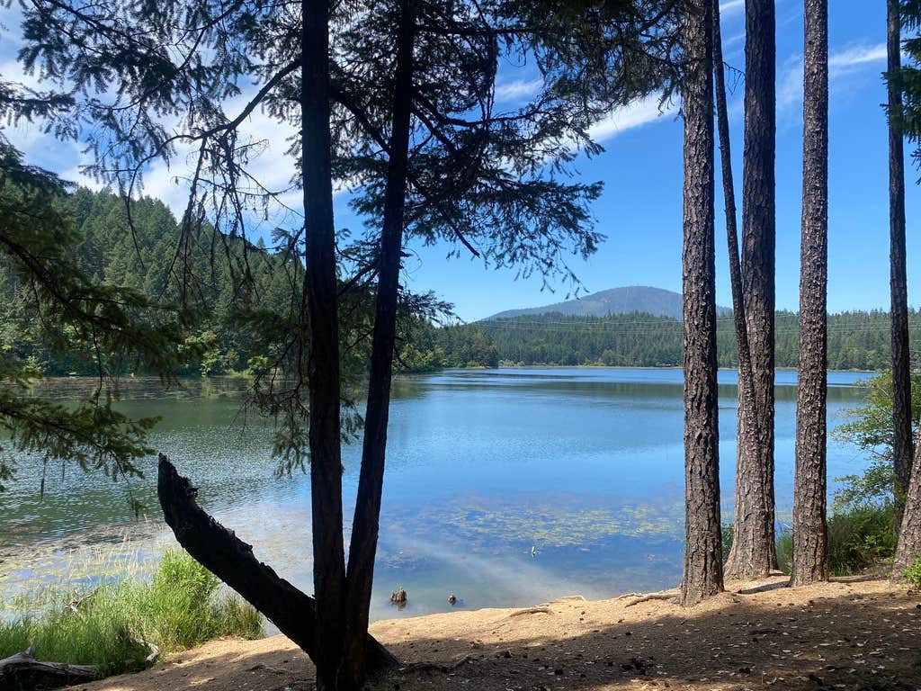 Camping near Store Gulch Campground: Lake Selmac County Park, Selma, Oregon