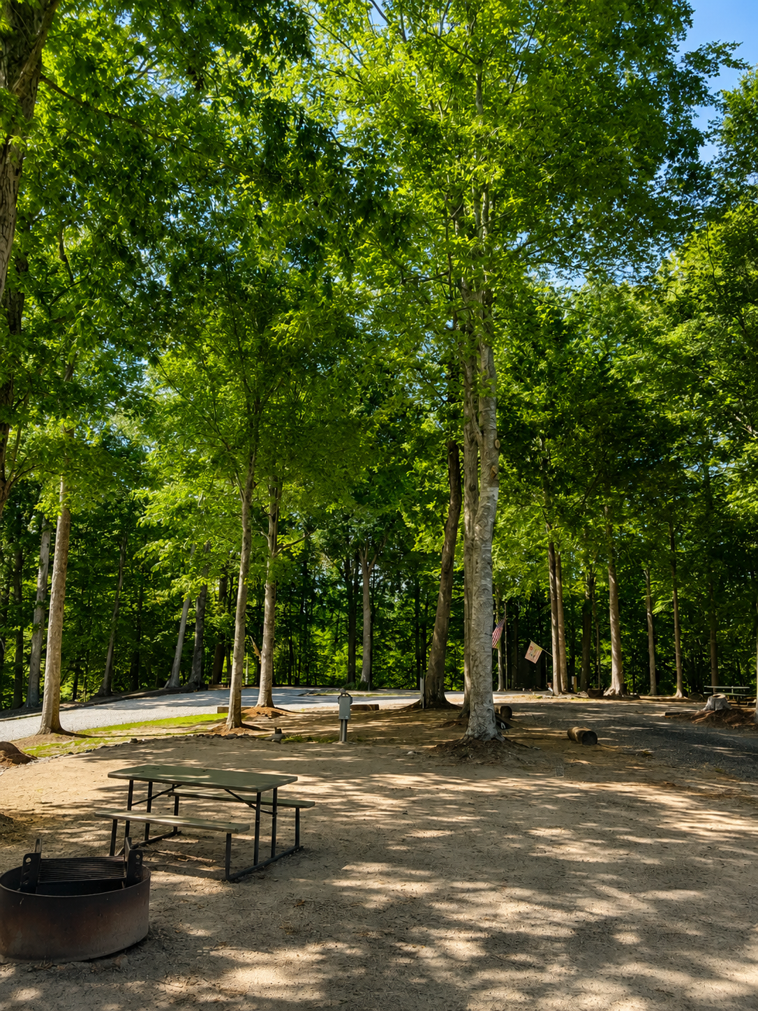 Camper-submitted photo at Turkey Quarter Campground near Bath, NC