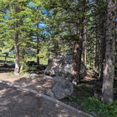 Review photo of Shepherds Rim Campground by Christopher K., June 28, 2026