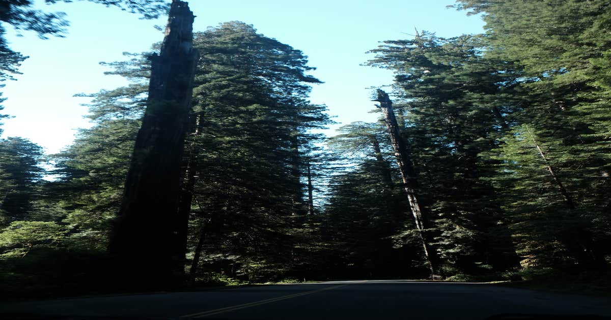 Camper-Submitted Photos of Jones Valley Inlet Shoreline Campground
