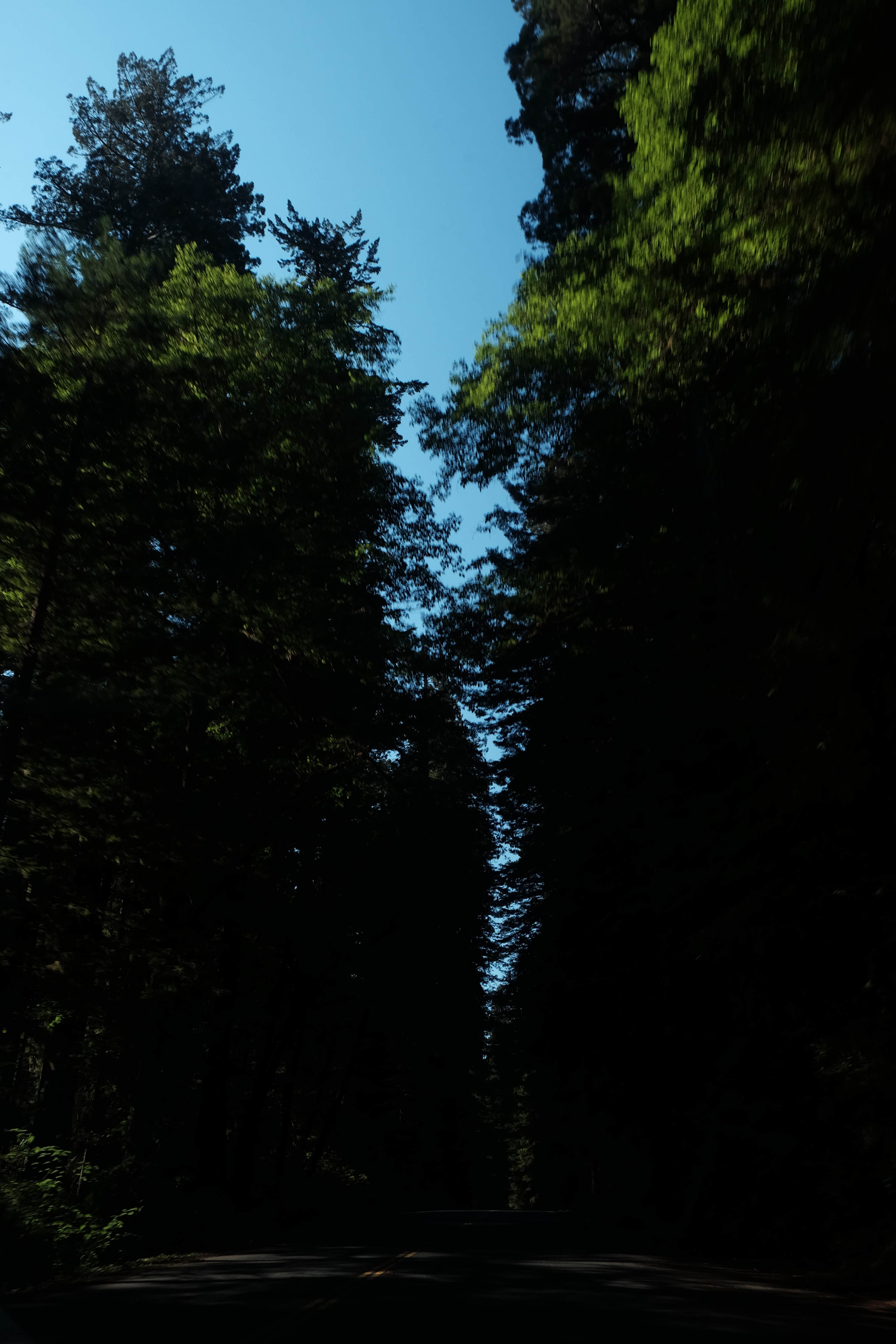 Camper-submitted photo at Jones Valley Inlet Shoreline Campground near Whitmore, CA