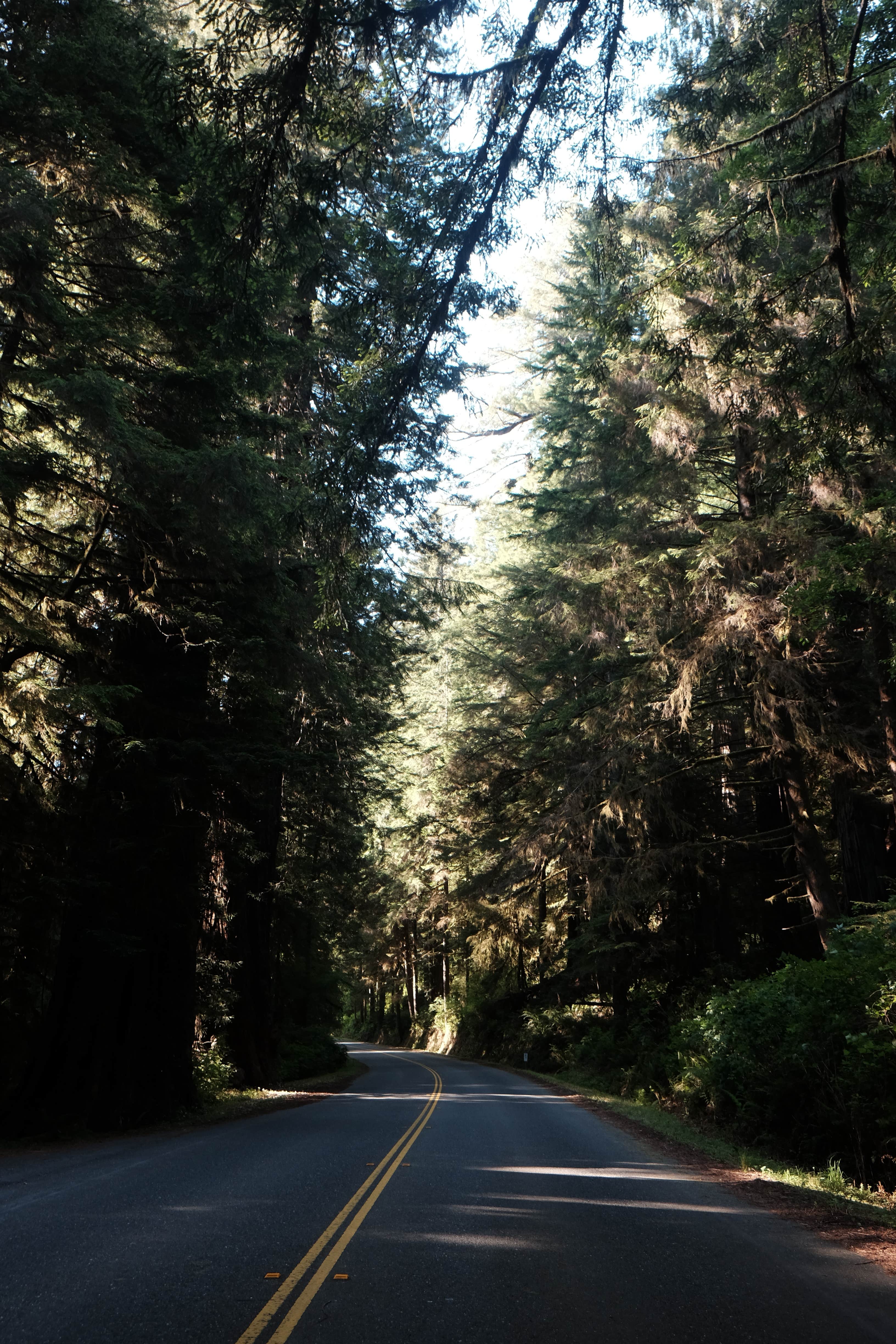 Camper-submitted photo at Jones Valley Inlet Shoreline Campground near Whitmore, CA