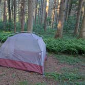 Review photo of Spruce Pond Camping Area - Morgan Hill State Forest by Lisa S., June 29, 2026