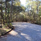 Review photo of Fred Gannon Rocky Bayou State Park Campground by Nancy W., June 29, 2026