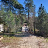 Review photo of Fred Gannon Rocky Bayou State Park Campground by Nancy W., June 29, 2026
