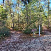 Review photo of Fred Gannon Rocky Bayou State Park Campground by Nancy W., June 29, 2026