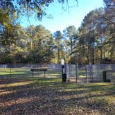 Review photo of Cotton Hill by Nancy W., June 30, 2026