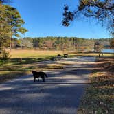 Review photo of Cotton Hill by Nancy W., June 30, 2026