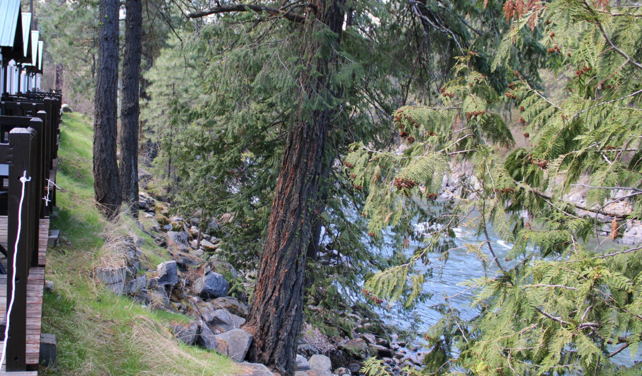 Camper-submitted photo at LOGE Leavenworth Cabins near Entiat, WA
