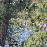 Review photo of LOGE Leavenworth Cabins by Saraj B., June 30, 2026
