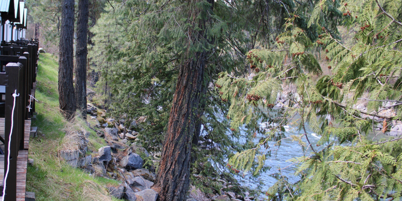 Camper submitted image from LOGE Leavenworth Cabins