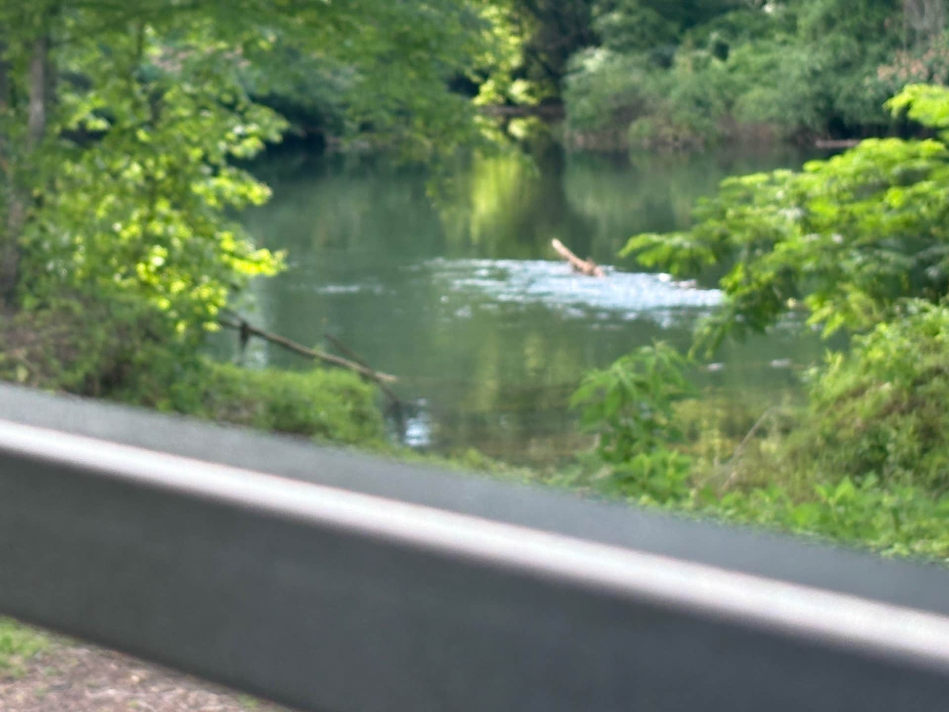 Camper-submitted photo at Winding Waters RV Resort near Acworth, GA