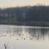 Review photo of Lakefront Cabins - Shabbona Lake by Stuart K., June 30, 2026