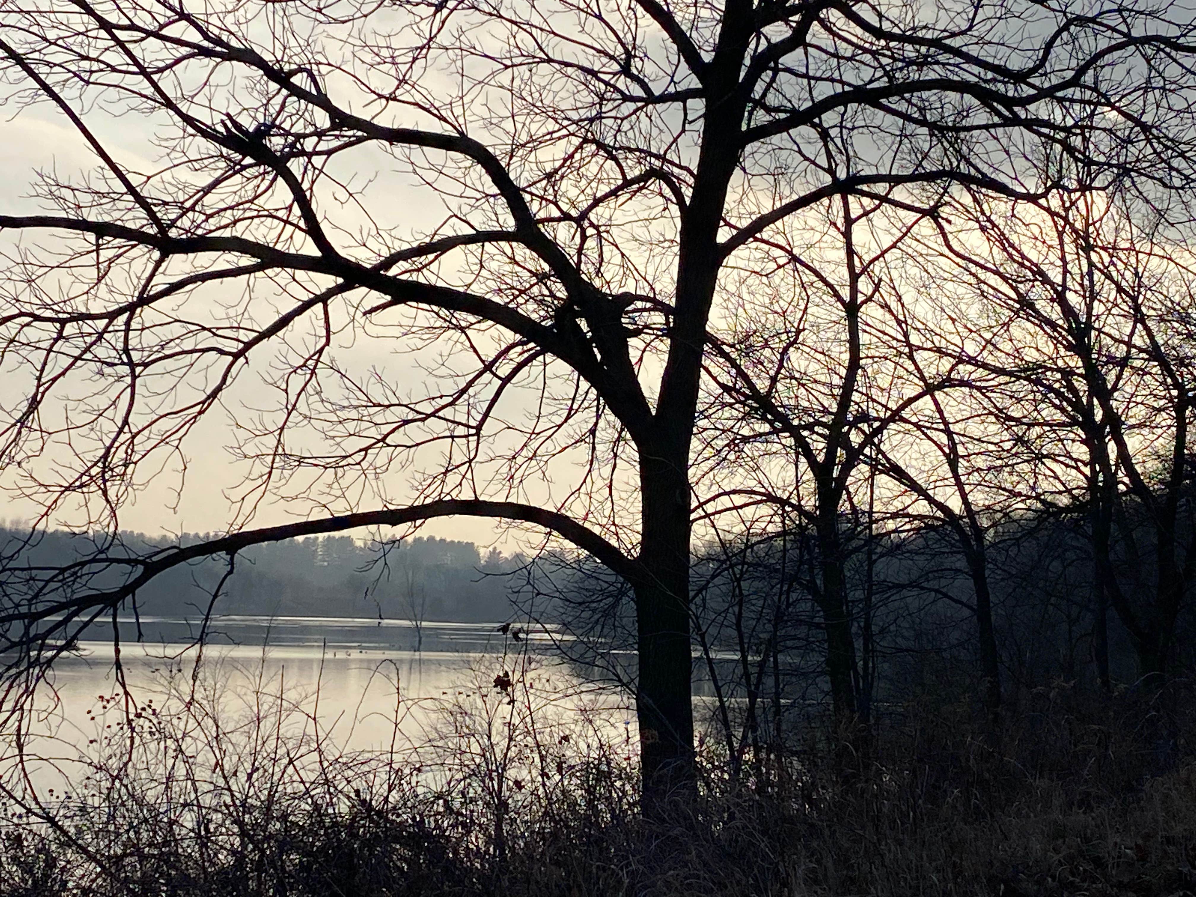 Camper-submitted photo at Lakefront Cabins - Shabbona Lake near Rochelle, IL