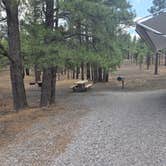 Review photo of Bonito Campground — Sunset Crater National Monument by Missy A., June 30, 2026