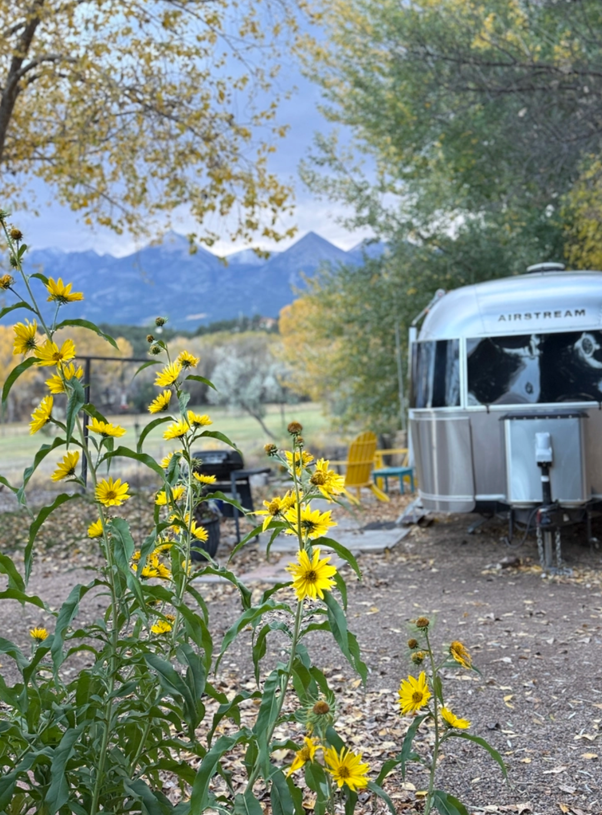 Camper-submitted photo at Pleasant Valley RV Park, 0018 County rd 47, Howard, CO near Coaldale, CO