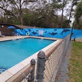Review photo of Tallahassee RV Park by Nancy W., July 1, 2026
