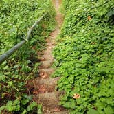 Review photo of Siuslaw National Forest Blackberry Campground by Ann E., July 1, 2026
