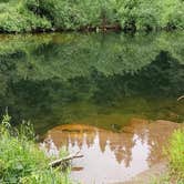 Review photo of Siuslaw National Forest Blackberry Campground by Ann E., July 1, 2026