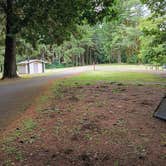 Review photo of Siuslaw National Forest Blackberry Campground by Ann E., July 1, 2026