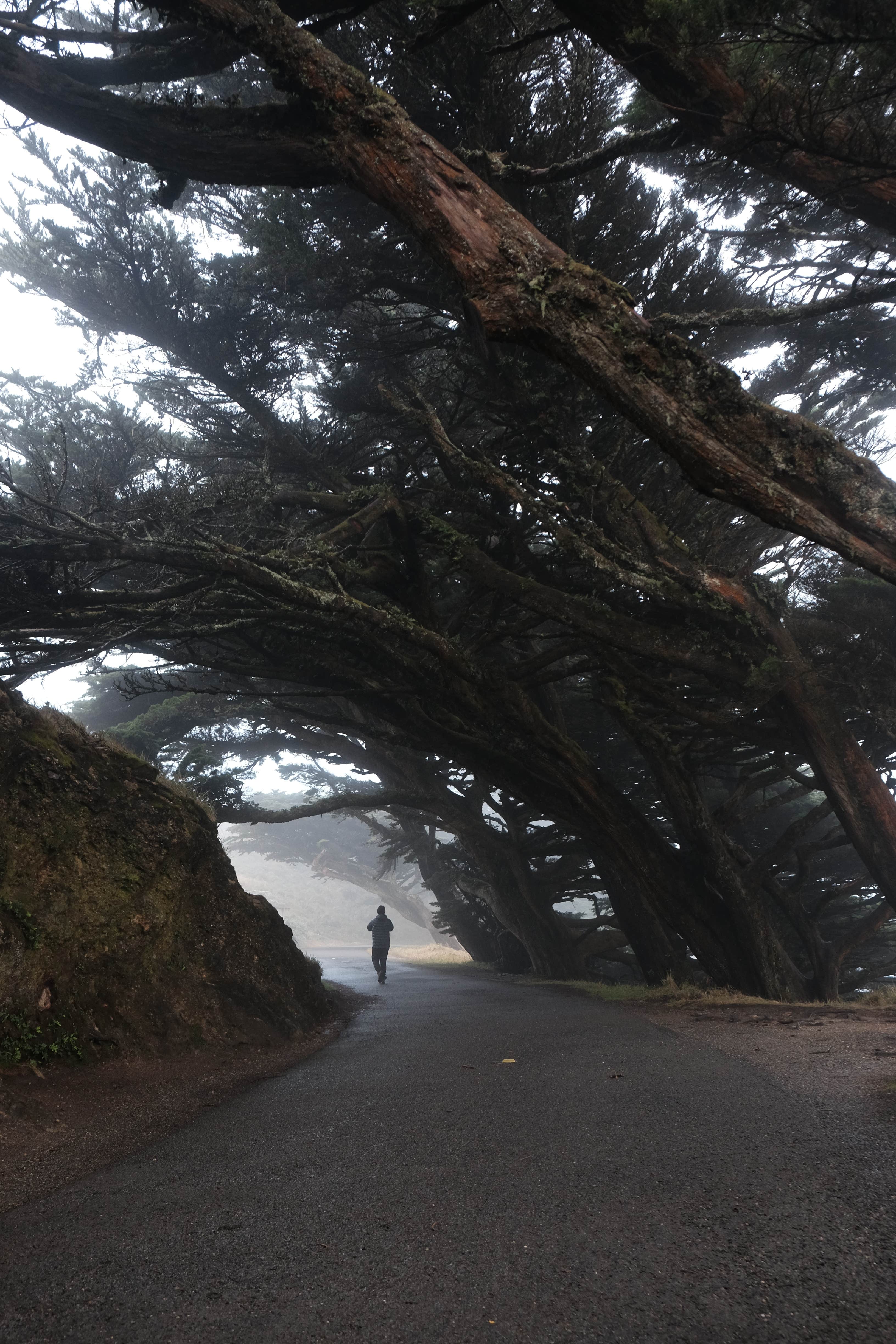 Camper submitted image from Sky Campground — Point Reyes National Seashore - 4