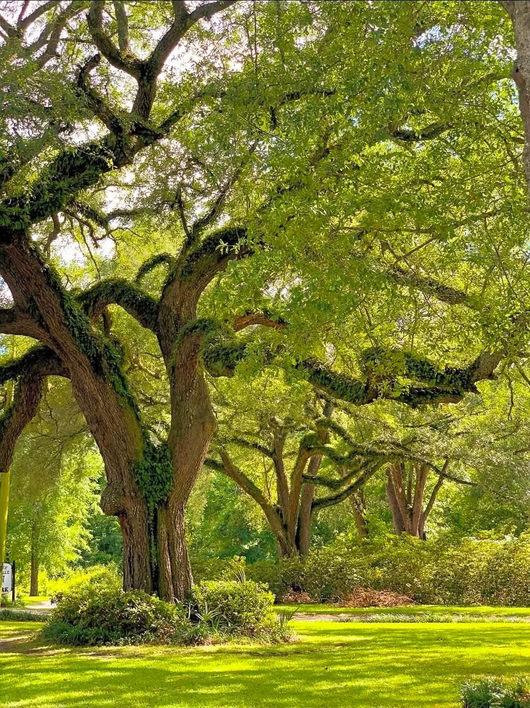 Camping near Moonpie Farm and Creamery: Graceville Campground, Chipley, Florida