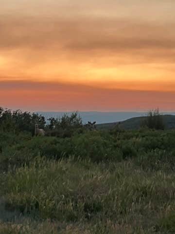 Camper-submitted photo at Basalt Mountain Dispersed near Carbondale, CO